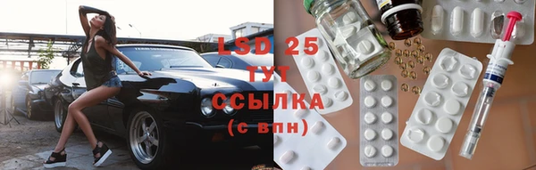PSILOCYBIN Баксан
