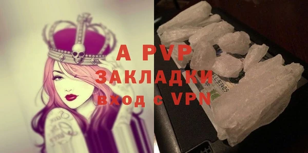 PSILOCYBIN Баксан