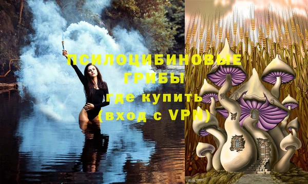 PSILOCYBIN Баксан