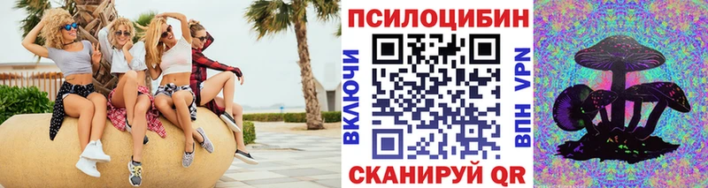 ОМГ ОМГ как зайти  Петровск-Забайкальский  Псилоцибиновые грибы Cubensis 